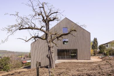 Holzhaus mit Baum - Holzbau - Holzhaus - Holzsystembau - PM Mangold