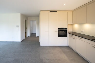 MFH Binningen