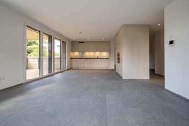 MFH Binningen
