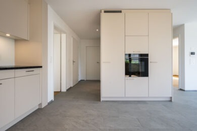 MFH Binningen