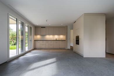 MFH Binningen