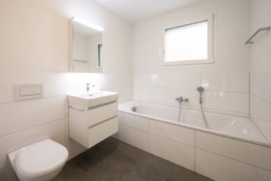 MFH Binningen
