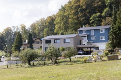 helles Holzhaus mit Bäumen - Holzbau - Holzhaus - Holzsystembau - PM Mangold