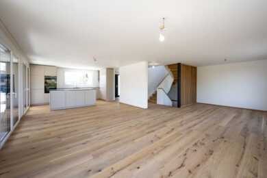 EFH Möhlin