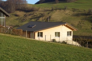 helles Holzhaus in Natur - Holzbau - Holzhaus - Holzsystembau - PM Mangold