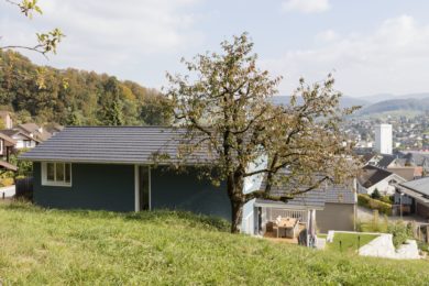 blaues Holzhaus - Holzbau - Holzhaus - Holzsystembau - PM Mangold