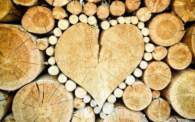 Holz ist gut für die Gesundheit 